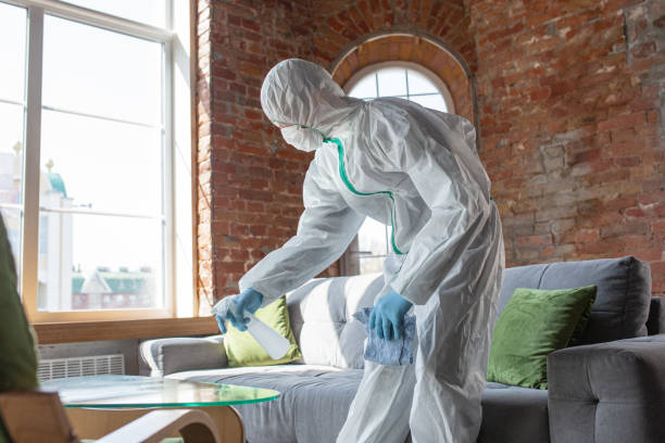  New Milford, NJ Mold Removal & Remediation Pros